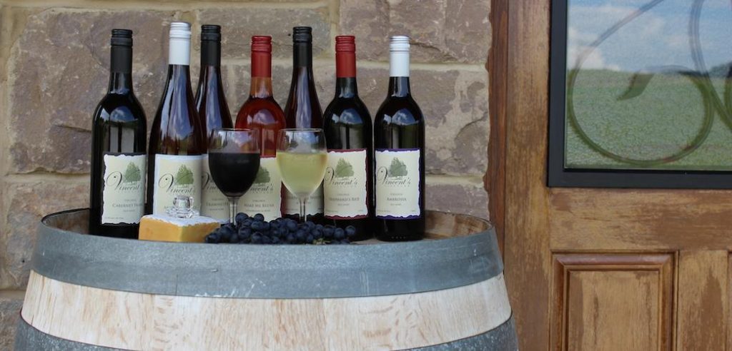Vincent’s Vineyard