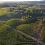 Lachini Estate Vineyards And Tasting Barn