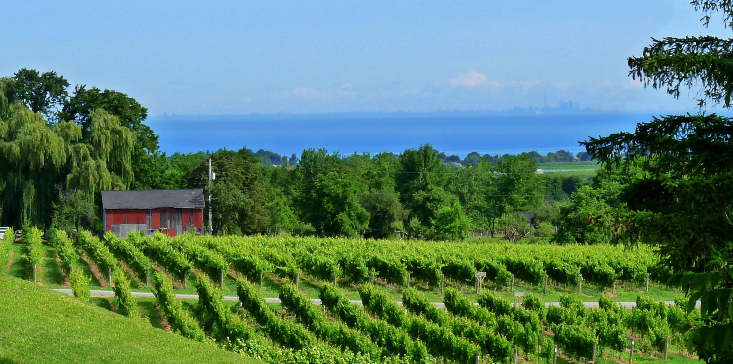 Lake Erie Wine Country