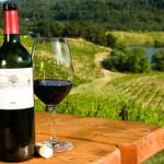 North Fork Wine Tours