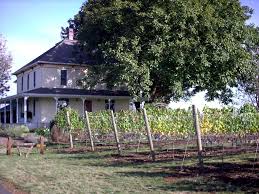 Piluso Vineyard & Winery
