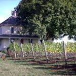 Piluso Vineyard & Winery