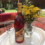 Rebec Vineyards Inc