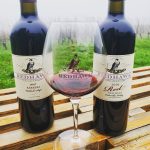 Redhawk Vineyard & Winery