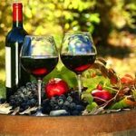 Salado Creek Winery & Vineyard