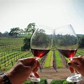 Twin Meadows Winery