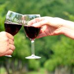 White Rock Wines, Vines & Brews