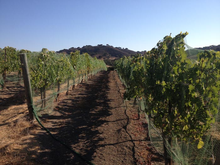 Arthur Earl Tasting Room