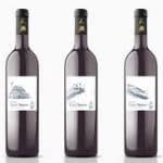 Belle Vinez Vineyard & Winery