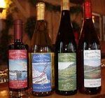 Harbor Springs Vineyards &  Winery