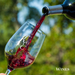 Llano Estacado Winery