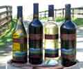 Rustridge Vineyard & Winery
