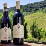 Schug Carneros Estate Winery
