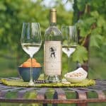 Secret Ravine Vineyard And Winery