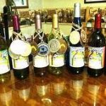 Tangled Oaks Vineyard & Winery