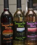Tennessee Valley Winery