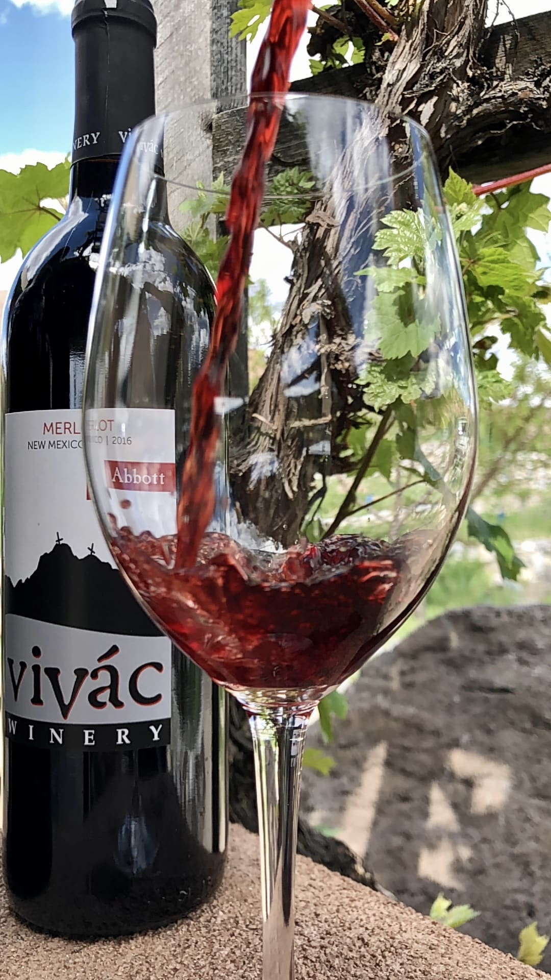 Vivac Winery