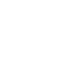 Aloha Beer