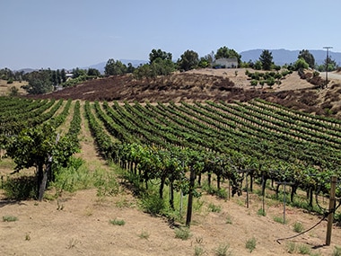 Bella Vista Vineyard & Winery