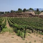 Bella Vista Vineyard & Winery