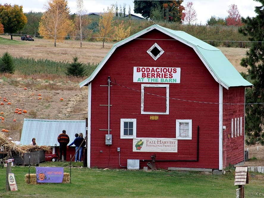 Big Barn Brewing Co / Bodacious Berries Fruits and Brews