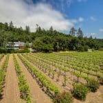 Calistoga Estate Vineyards