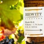 Hewitt Vineyard