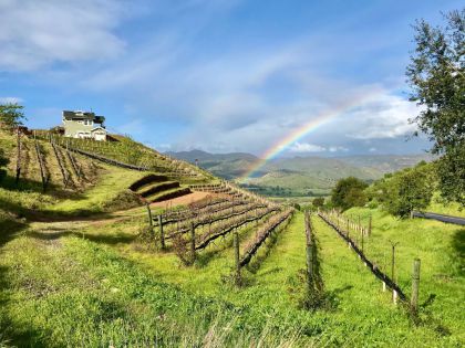 Highland Valley Vineyards