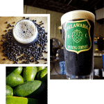 Oklawaha Brewing Company