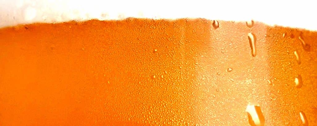Rapp-Brewing-Company-3