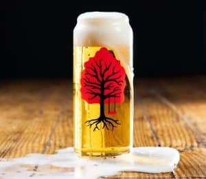 Red-Swing-Brewhouse-3