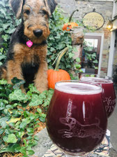 Selins-Grove-Brewing-Co-3