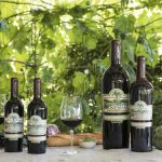 Tara Bella Winery & Vineyards