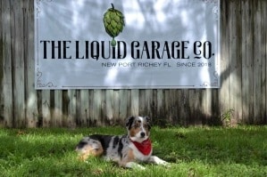 The Liquid Garage