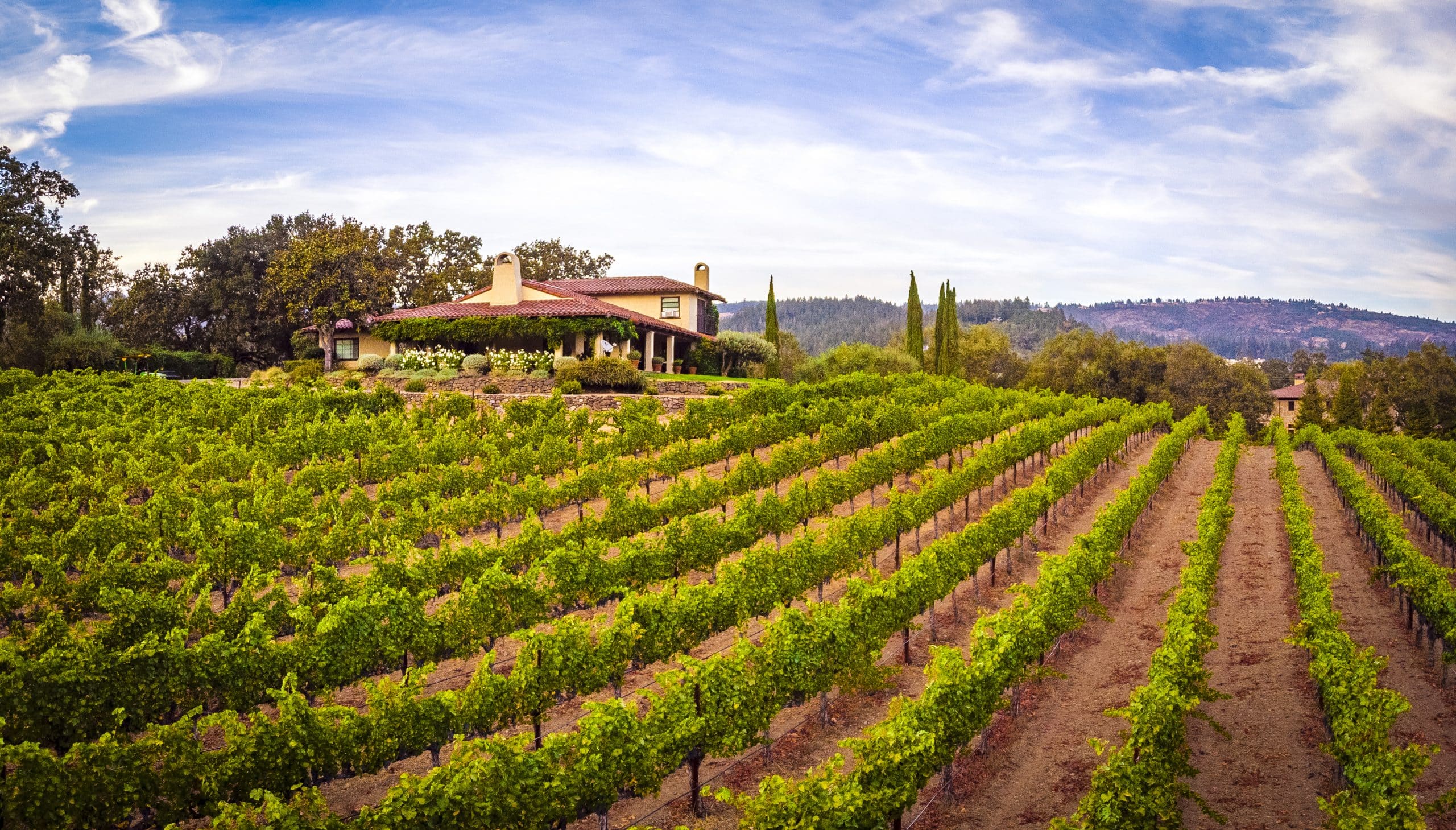 Vine Cliff Winery