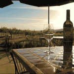 Alger Vineyards & Winery