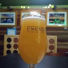 Concentric Brewing Company