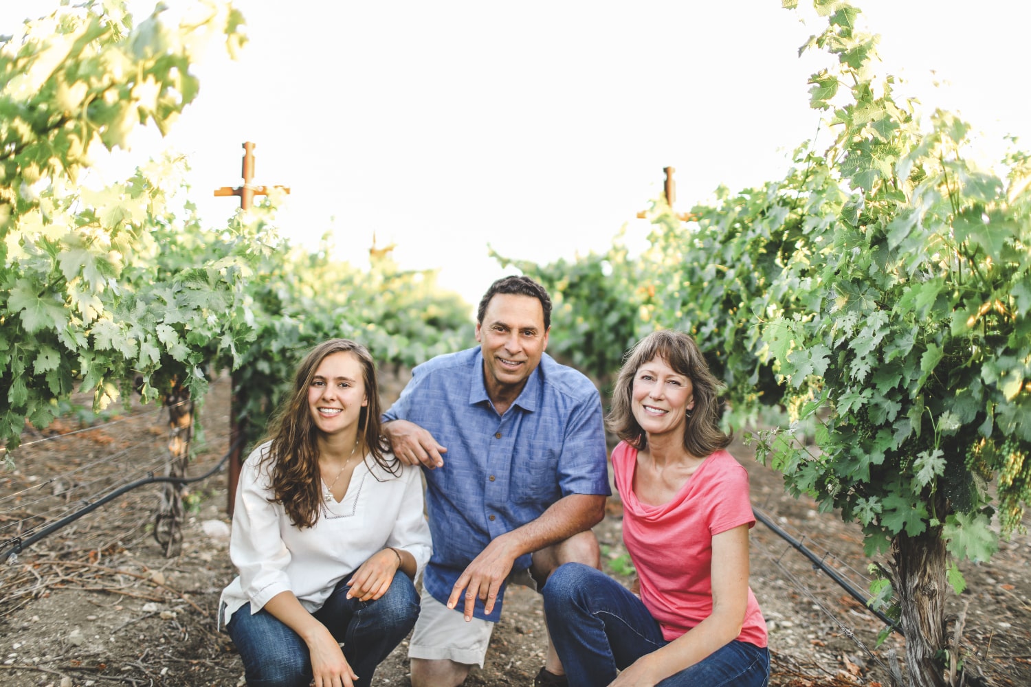 Falcone Family Vineyards