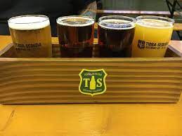 Tioga-Sequoia Brewing Co