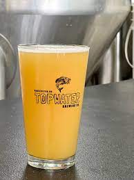 Topwater Brewing Co.