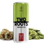 Two Roots Brewing Co